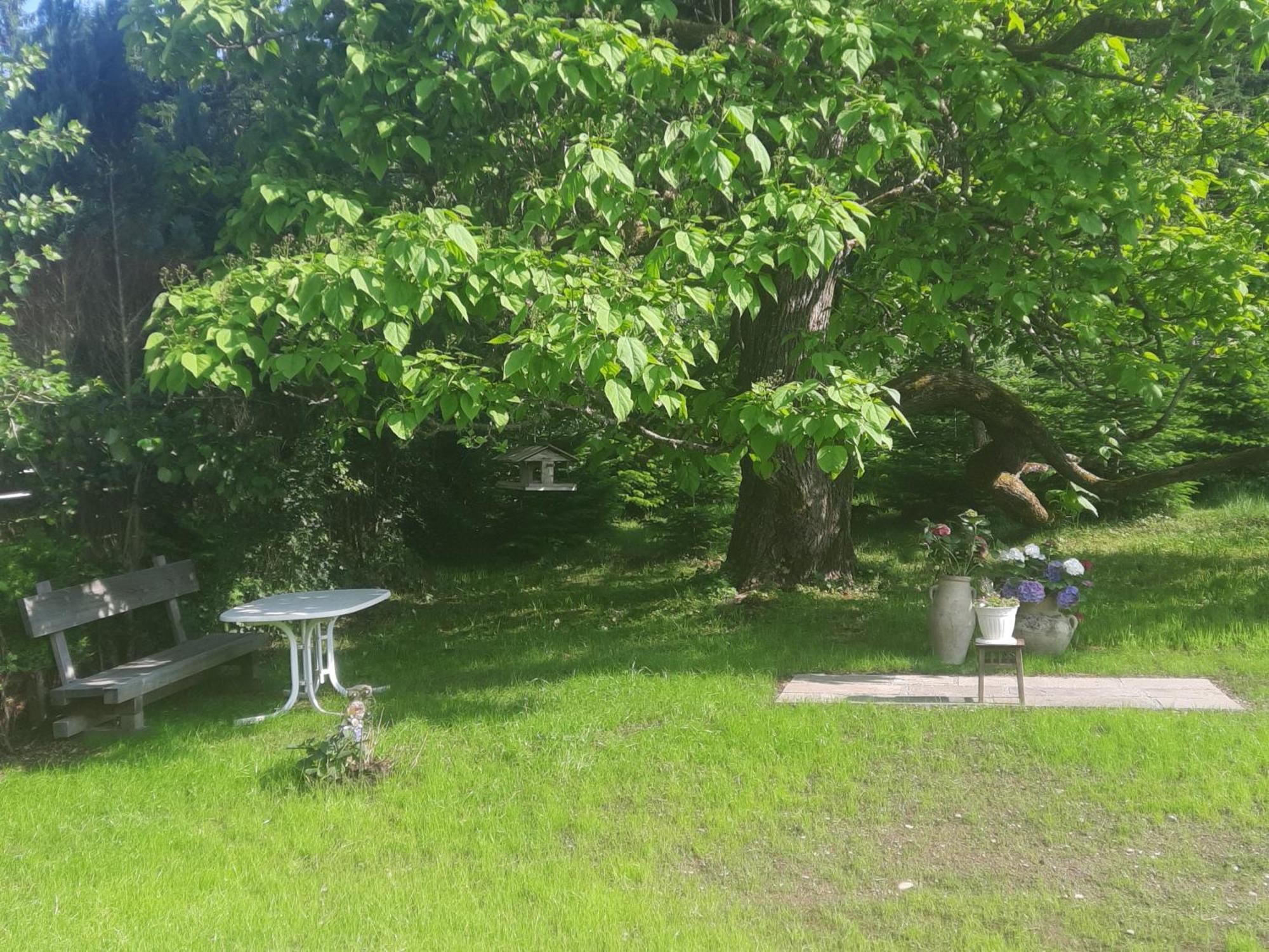 Chalet Damtschach Bagian luar foto